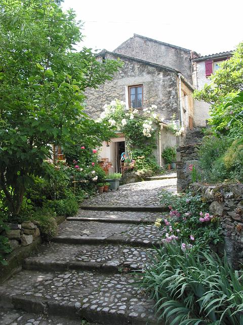 0016 Corte.JPG